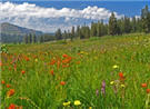 WEst_REg_Conf
