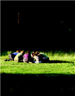 prescott_huddle group.jpg